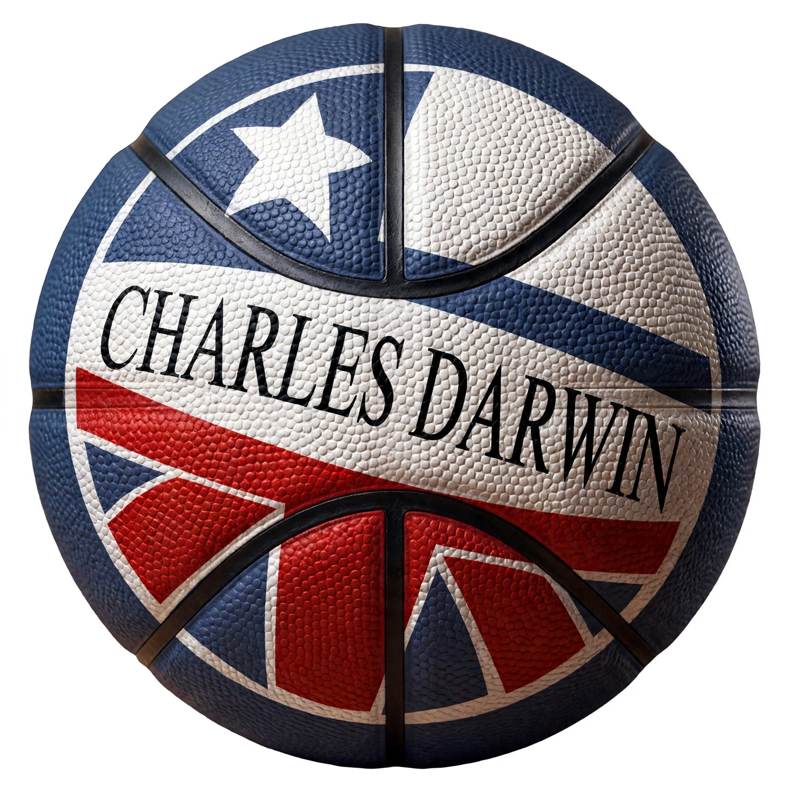 COLEGIO CHARLES DARWIN | PUNTA ARENAS